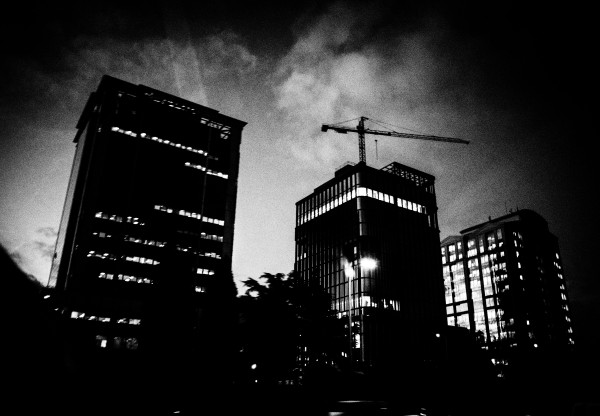 TAMARI's header image