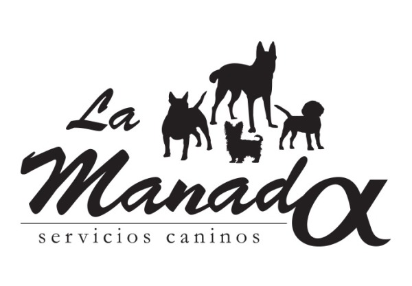Proyecto Siéntete Chula's header image