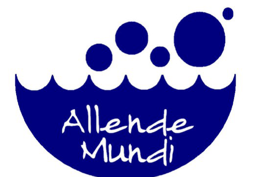 Proyecto Educativo de Allende Mundi 2023's header image