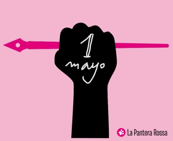 ¡Nos lanzamos!