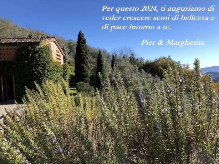 Felice 2024 dall'oliveto!