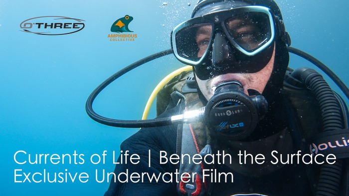 Exclusive Underwater Footage For You...